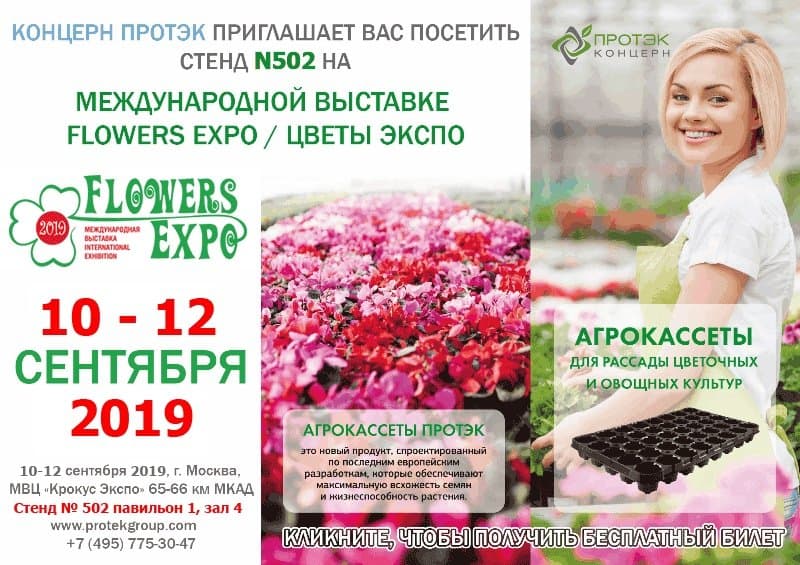 Цветы Expo 2019