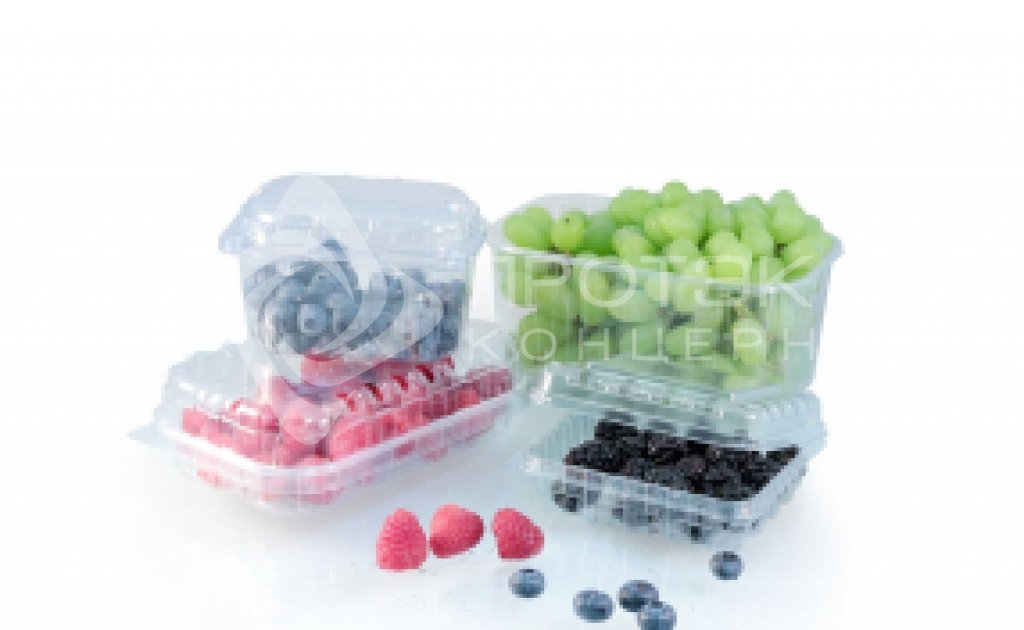 Пластиковая емкость для овощей, грибов и ягод